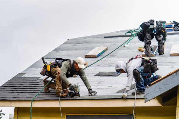 Professional Flat Roof Repair technician working in Stockton, IL